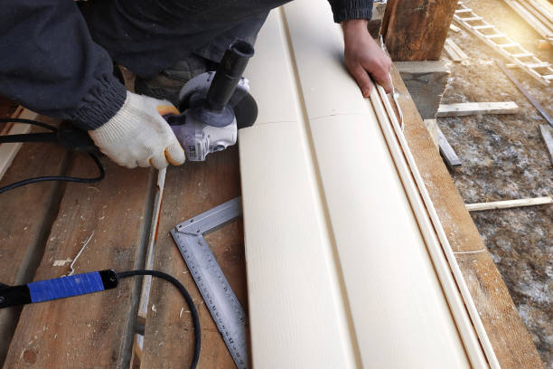 Best Aluminum Siding Installation  in Frankton, IN